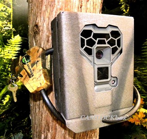 qs12 steel box|Stealth Cam QS12 Security Box .